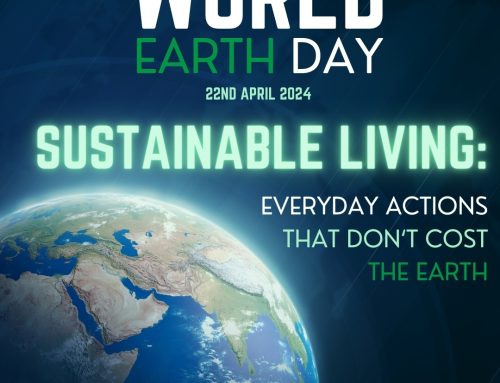 Sustainability Living: Everyday Actions That Don’t Cost the Earth