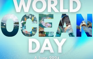 World Ocean Day blog cover