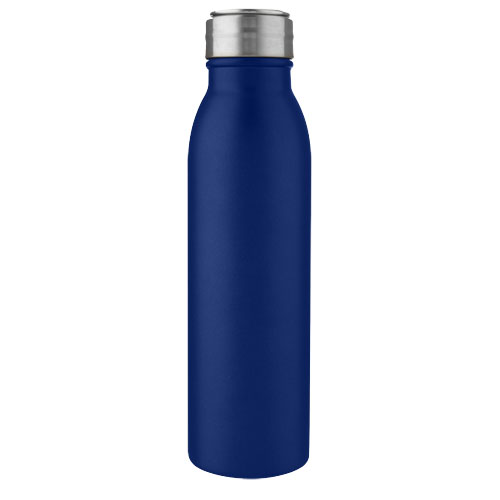 Harper 700 ml stainless steel water bottle with metal loop