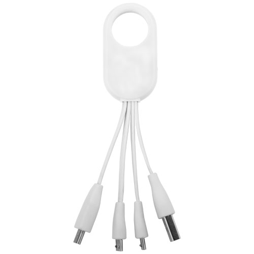 Troup 4-in-1 charging cable with type-C tip