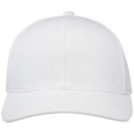 Opal 6 panel Aware™ recycled cap