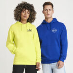 P160 AWDis College Hoodie