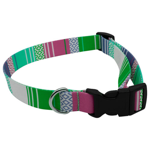 P055 rPET Dog Collar - Full Colour