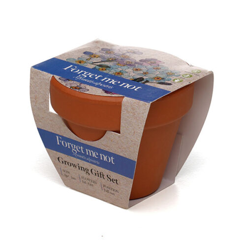 P043 Terracotta Flower Pot