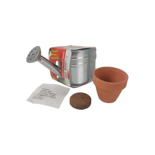 P043 Zinc Bucket Watering Can