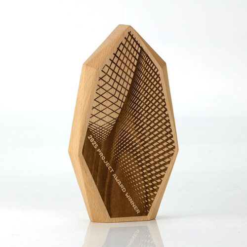 Q096 Solid Beech Faceted Award